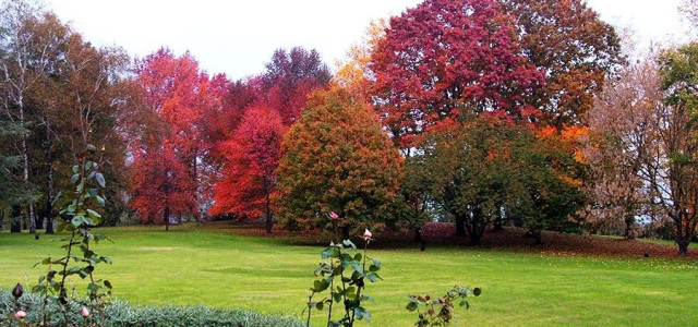 Tenuta di San Liberato