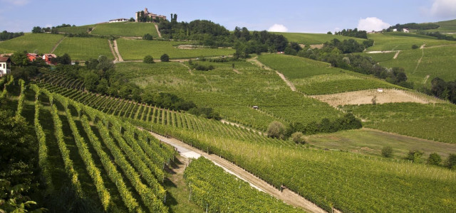 Langhe, Roero e Monferrato: paesaggi vitivinicoli del Piemonte (Sito UNESCO)