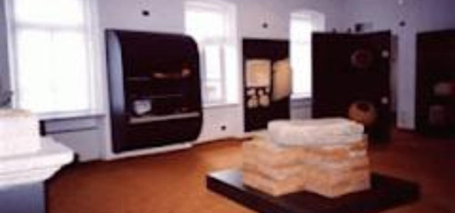 Civico museo archeologico e di scienze naturali Federico Eusebio