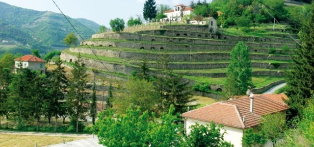 Ecomuseo dei terrazzamenti e della vite