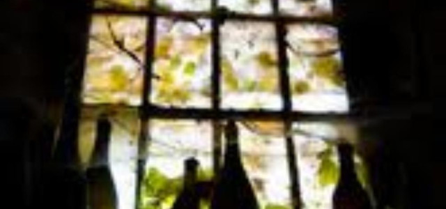 Museo Ratti dei vini di Alba
