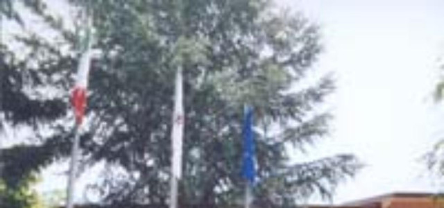 Centro documentazione aziendale figli di Pinin Pero - Sugar Packets Museum