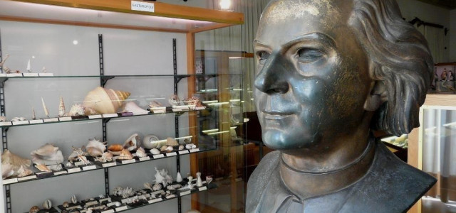 Museo di storia naturale A. Stoppani