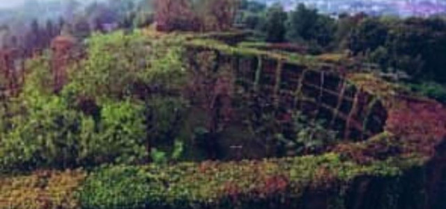 Raccolta museale dell'avifauna lombarda