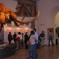 Bergamo, Museo Civico di Scienze Naturali Enrico Caffi Bergamo, Museo Civico di Scienze Naturali Enrico Caffi