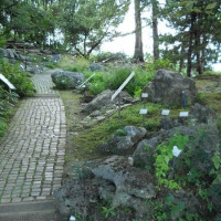 Immagine descrittiva -  Immagine descrittiva -