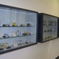 Voghera, Civico Museo di Scienze Naturali G. Orlandi Voghera, Civico Museo di Scienze Naturali G. Orlandi