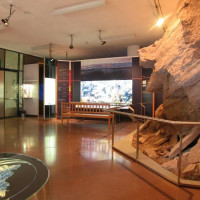 MUSEO DI SCIENZE NATURALI DELL'ALTO ADIGE MUSEO DI SCIENZE NATURALI DELL'ALTO ADIGE