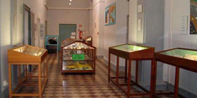 Fidenza, Museo dei Fossili dello Stirone