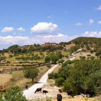 Immagine descrittiva - CC BY Immagine descrittiva - CC BY