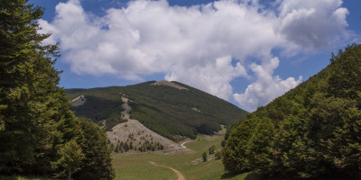 Veduta del parco del pollino