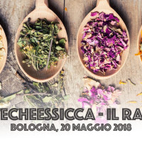 RADUNO #GENTECHEESSICCA RADUNO #GENTECHEESSICCA