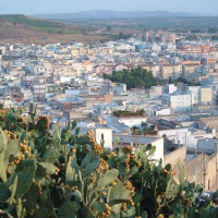 Immagine descrittiva -  Immagine descrittiva -