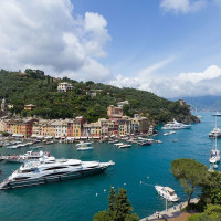 Immagine descrittiva - CC BY Di Pierre-Selim Huard - Fotografia autoprodotta, CC BY 4.0, https://commons.wikimedia.org/w/index.php?curid=49885800 Immagine descrittiva - CC BY Di Pierre-Selim Huard - Fotografia autoprodotta, CC BY 4.0, https://commons.wikimedia.org/w/index.php?curid=49885800