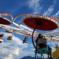 ArtePollino ArtePollino