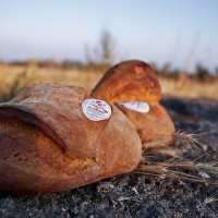 Immagine descrittiva - CC BY-SA Di Nikotota - Opera propria, CC BY-SA 4.0, https://commons.wikimedia.org/w/index.php?curid=66904170 Immagine descrittiva - CC BY-SA Di Nikotota - Opera propria, CC BY-SA 4.0, https://commons.wikimedia.org/w/index.php?curid=66904170