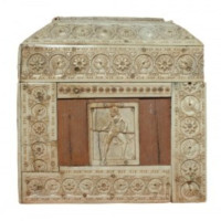 Pisside eburnea Pisside eburnea