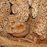 CENTRO VISITE DELLA GROTTA DI LAMALUNGA: uomo di Altamura CENTRO VISITE DELLA GROTTA DI LAMALUNGA: uomo di Altamura