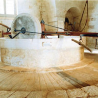 Fasano, Museo dell'Olio d'Oliva di Fasano  Fasano, Museo dell'Olio d'Oliva di Fasano