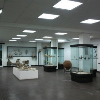 Immagine descrittiva -  Immagine descrittiva -