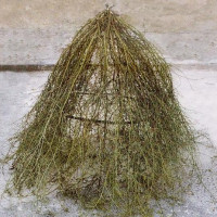 Immagine descrittiva - https://commons.wikimedia.org/wiki/User:Palminellafede Immagine descrittiva - https://commons.wikimedia.org/wiki/User:Palminellafede