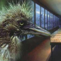 Prato, CENTRO DI SCIENZE NATURALI DI GALCETI Prato, CENTRO DI SCIENZE NATURALI DI GALCETI