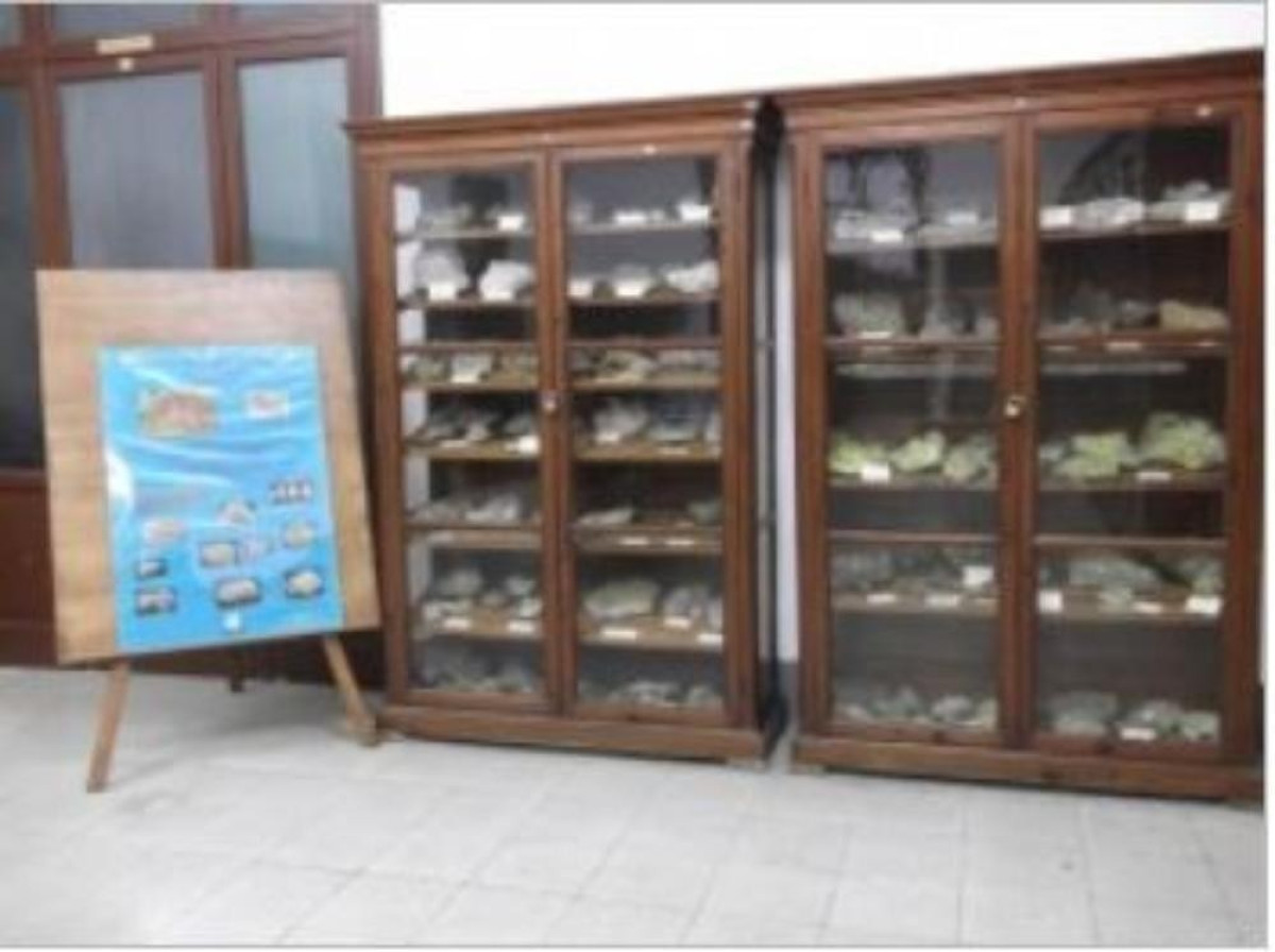 Museo di Scienze Naturali dell' ITG 'Filippo Parlatore' (Palermo