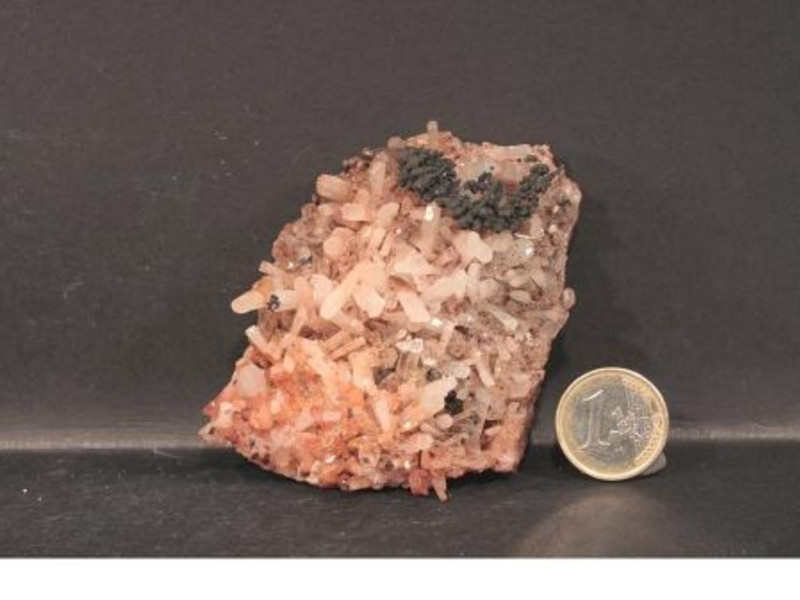 Museo di Pio Mariani