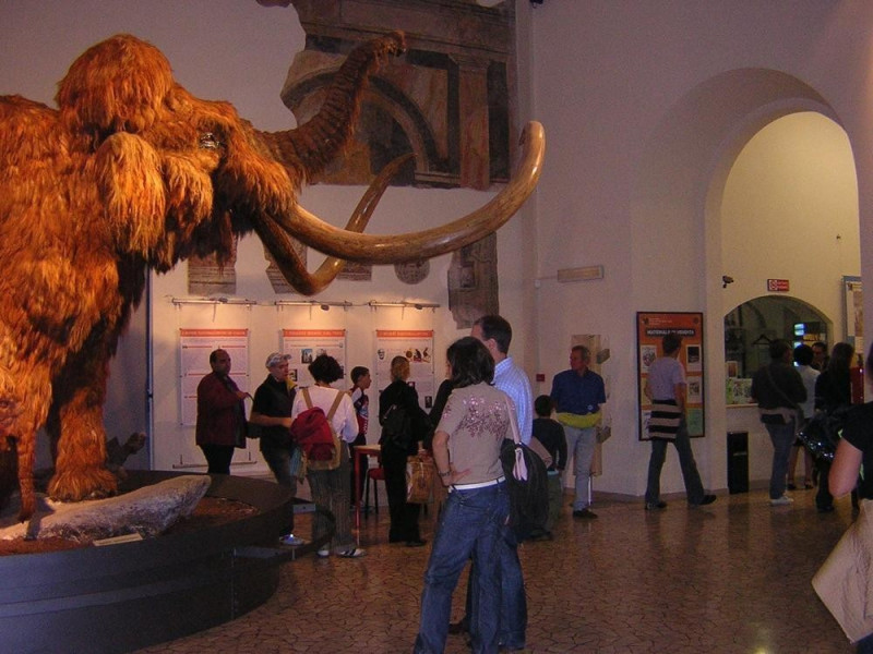 Bergamo, Museo Civico di Scienze Naturali Enrico Caffi