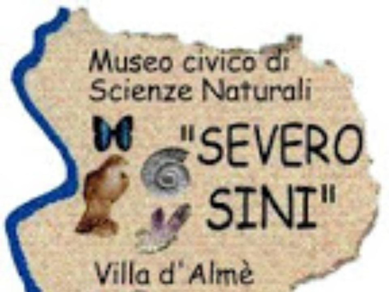Museo Civico Severo Sini Museo Civico Severo Sini
