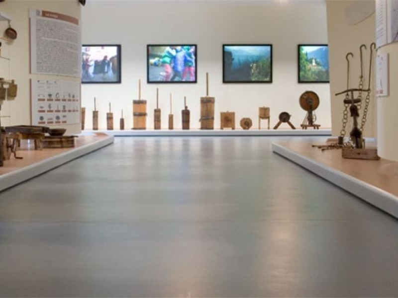 Montichiari, Museo Demiologico Giacomo Bergomi