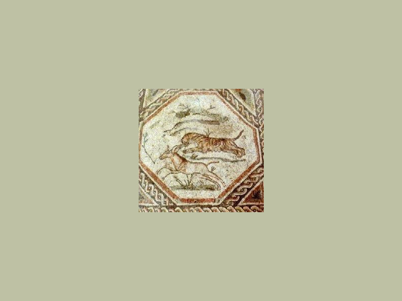 Desenzano del Garda, Villa Romana e Antiquarium Desenzano del Garda, Villa Romana e Antiquarium
