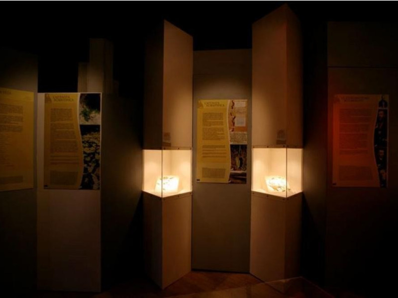 Museo botanico Museo botanico