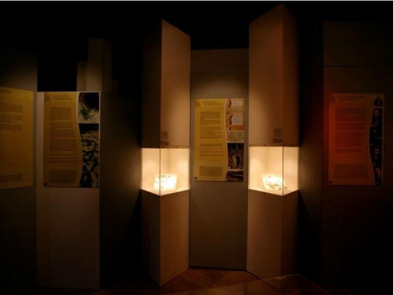 Museo botanico Museo botanico