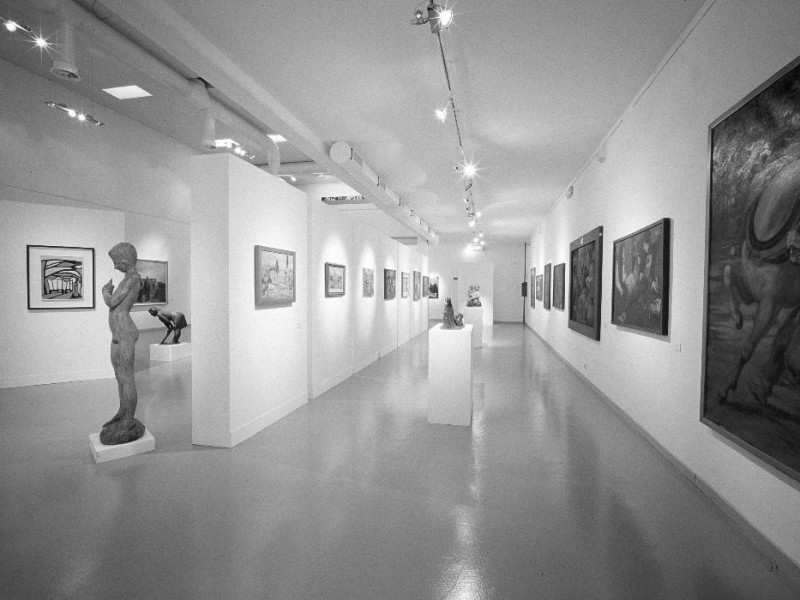 Suzzara, Galleria del Premio Suzzara Suzzara, Galleria del Premio Suzzara
