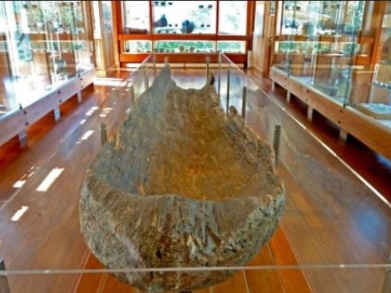 Moena, MUSEO DELLE PALAFITTE DEL LAGO DI LEDRO