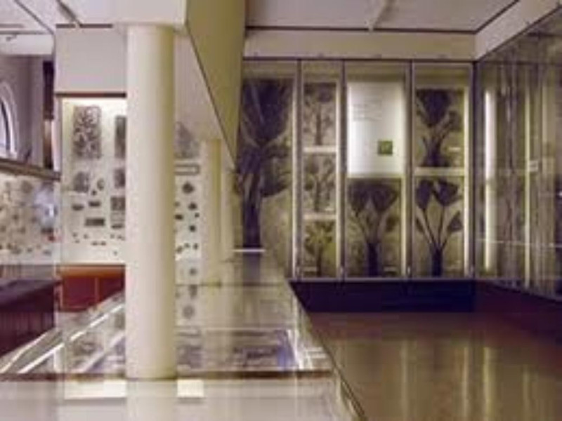 Storia_naturale_Verona Storia_naturale_Verona