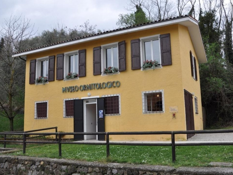 Museo ornitologico Museo ornitologico
