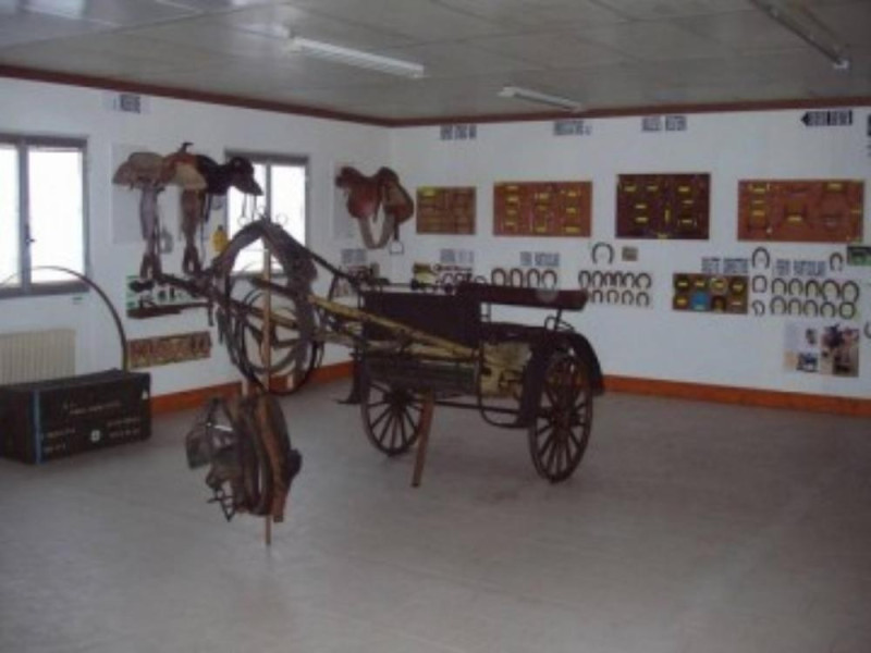 Museo del cavallo e degli attrezzi rurali Museo del cavallo e degli attrezzi rurali
