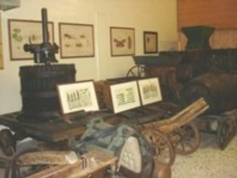 Codroipo, MUSEO DEL VINO "VIGNETI PIETRO PITTARO" (CODROIPO) Codroipo, MUSEO DEL VINO "VIGNETI PIETRO PITTARO" (CODROIPO)