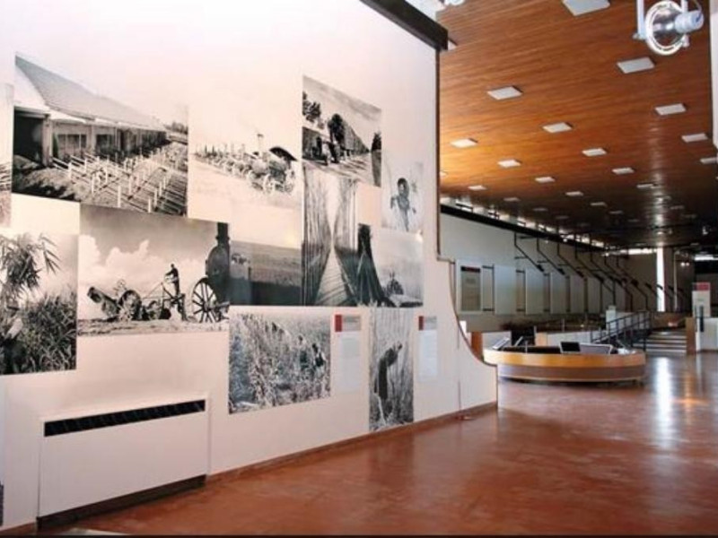 Museo territoriale