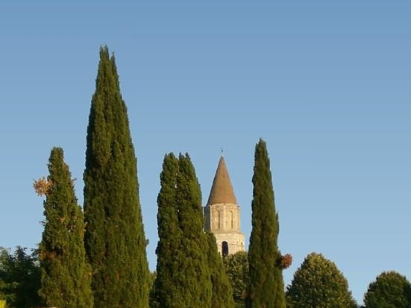 Immagine descrittiva -  Immagine descrittiva -