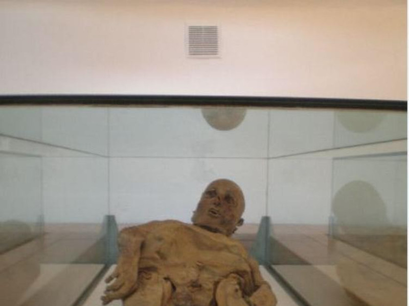 Venzone, CRIPTA CIMITERIALE DI SAN MICHELE - ESPOSIZIONE MUMMIE Venzone, CRIPTA CIMITERIALE DI SAN MICHELE - ESPOSIZIONE MUMMIE