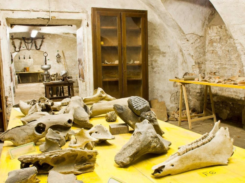 Castel San Giovanni, Museo Etnografico della Val Tidone Castel San Giovanni, Museo Etnografico della Val Tidone