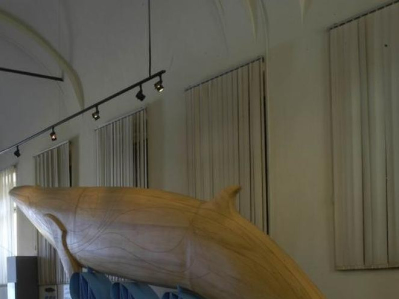 Castell'Arquato, Museo Geologico "G. Cortesi" Castell'Arquato, Museo Geologico "G. Cortesi"