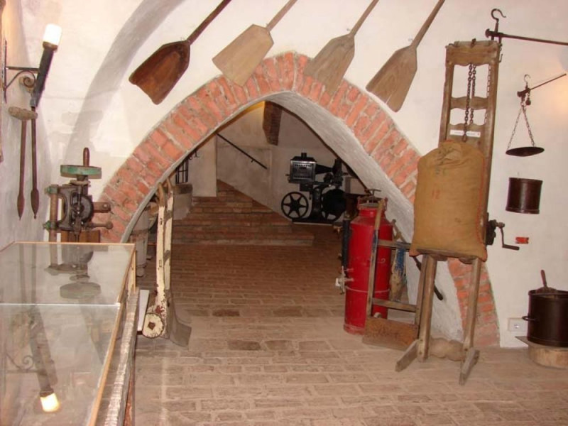 Monticelli d'Ongina, Acquario e Museo Etnografico del Po Monticelli d'Ongina, Acquario e Museo Etnografico del Po