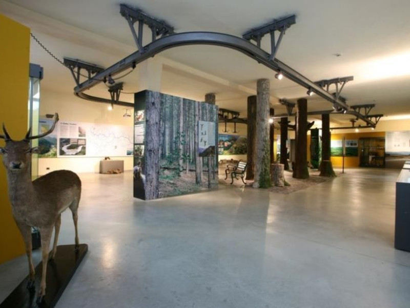 Museo Civico di Storia Naturale Museo Civico di Storia Naturale