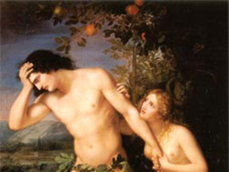 Piacenza, Museo Gazzola Piacenza, Museo Gazzola