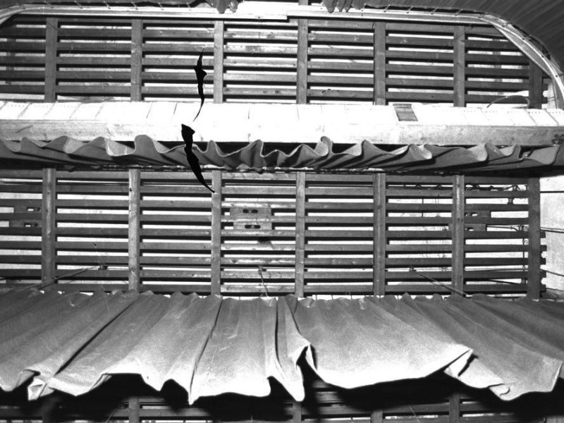 Piacenza, Teatro Comunale di Santa Franca (già dei Filodrammatici) Piacenza, Teatro Comunale di Santa Franca (già dei Filodrammatici)