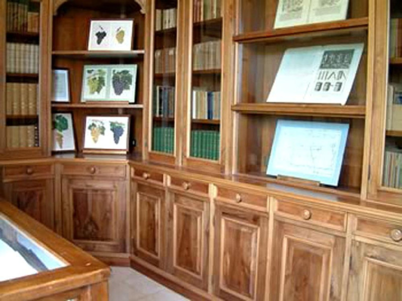 Vigolzone, Museo della Vite e del Vino "F. Pizzamiglio"